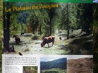 20170623 103400  panel exlaining abandonned settlement