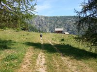 20170623 105320  through Rougios