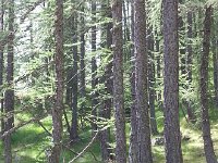 20170623 115411  if at first, you don&#39;t succeed...