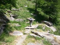 20170623 122120  nearly to the top...