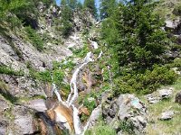 20170623 122133  a stream pouring down from Longon