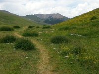 20170623 154137  coming back toward the Refuge through the pastures