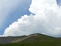 20170623 154425  cows and clouds