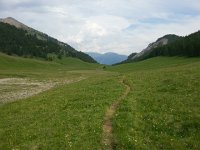 20170623 155544  getting closer