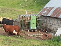 20170623 190308  Val d&#39;Hérens (L)