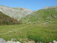 20170624 083552  where we are going