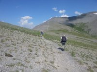 20170624 105518  still higher, sparser vegetation, trail runner