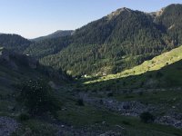 IMG 1248  above some settlement