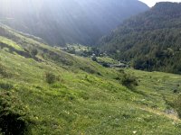 IMG 1253  little grazing; settlement empty