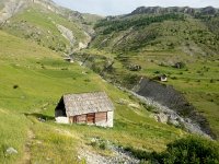 20170625 080137  now used only by sheep