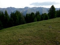 20170625 090404  the ridgeline to the east of the Tinée