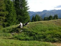 20170625 090955  breakfast at the Col