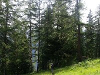 20170625 091755  nice trail