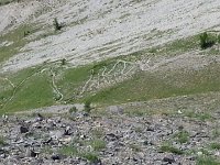 20170626 103639  long and winding...