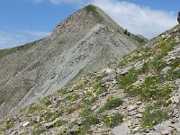 20170626 110158  path