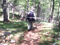 20170626 113614  what it&#39;s like