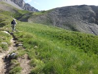 20170627 091558  lush grass