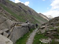 20170627 111949  garden path