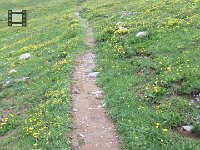 IMG 1337  what it&#39;s like