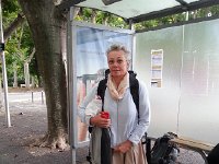 20170628 070205  dutifully waited at the bus stop