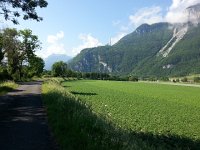 20170602 095938  potatoes and corn