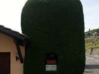 20170603 151734  interesting mailbox treatment