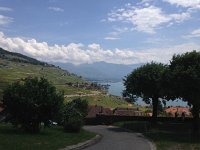 IMG 4935  Lavaux