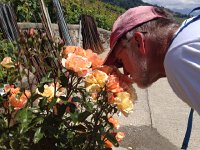 IMG 4942  stop to smell the roses