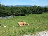 20170610 123341  taking a break