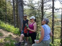 20170610 130402  shedding heat in the shade