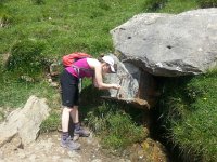 20170610 154444  well-positioned spring!!