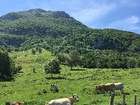 IMG 2275  very warm midday