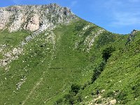 IMG 2279  climbing higher