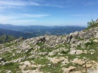 IMG 2280  rocks, sheep and landscape