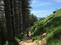 IMG 2283  back down to the shade