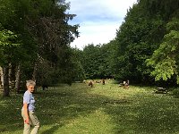 IMG 2284  later, after driving more, we found ponies