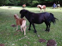 IMG 5171  baby with mama