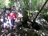 20170611 113810  there were a LOT of people on this trail