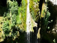 20170611 115515  one of many springs at the cliff face
