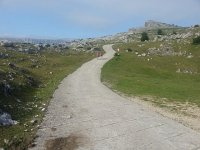 20170611 184454  escarpment