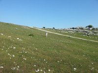 20170611 185501  Bri joining us