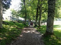 20170612 124414  down between the line of trees