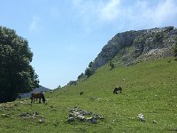 IMG 2327  the pastures