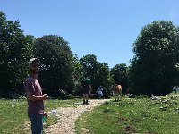 IMG 2329  meeting the animals