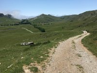 IMG 2336  the pastures seen from sheep camps