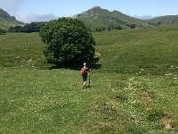 IMG 2337  heading back