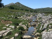 IMG 2338  the stream that drains the valley