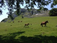 IMG 5230  they thought we had snacks?