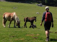 IMG 5240  Bri gets close