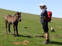 IMG 5242  little one is curiouis